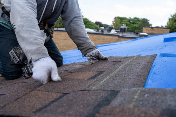Best Metal Roofing Contractor  in Portage, WI